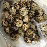 左手一个兔脑壳，右手一个鸭脑壳