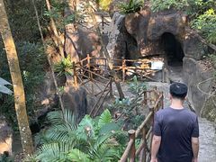 -广州市流溪河国家森林公园