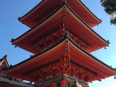 -有栖山 清光院 清水寺