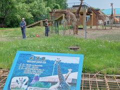 -哈尔滨北方森林动物园