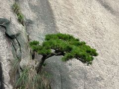 -天柱山风景区
