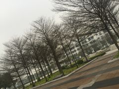 顺德职业技术学院-顺德职业技术大学