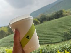 桂花冻顶乌龙奶盖-白茶原·一片叶子