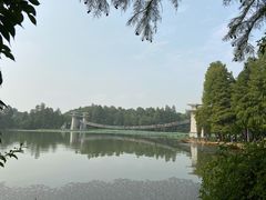 -东湖落雁景区