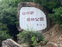 -白水寺森林公园