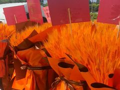 -亭亭鲜花店(中山北路店)