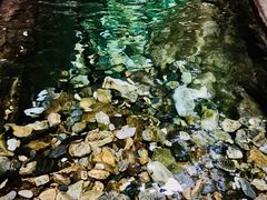 -黑河国家森林公园