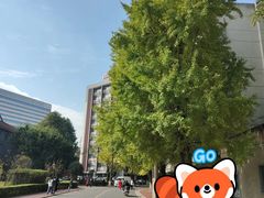 -四川大学(华西校区)