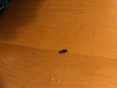 -别院里音乐餐酒吧(双流航空港店)