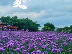 -厦门园林博览苑