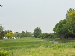 -圣露庄园·露营·烤肉·亲子