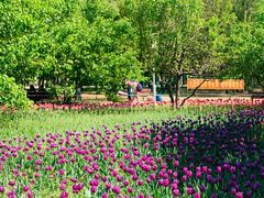 -长春公园(普阳街道)