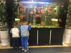 -悦百味·品质川菜(橄榄郡店)