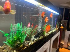 -水立方国际汤泉(六一中路店)