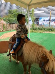 -萌宠亲子动物乐园(槐房万达店)