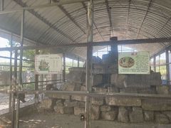 -河北村民俗体验园