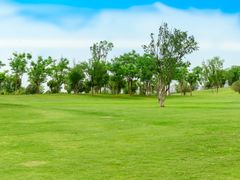 -盘龙城国家考古遗址公园