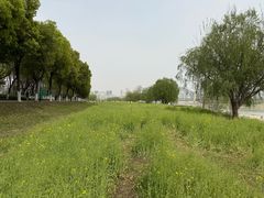 -汉江湾体育公园
