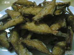 五香扒皮鱼-泰来风味馆(桂林街店)