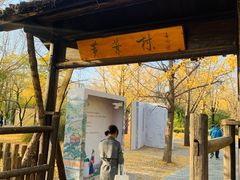 -红楼梦邮局