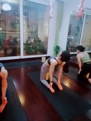 -Yvon yoga 瑜伽·精准体态管理中心