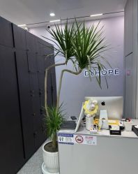 -DL HOPE造型