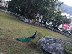 -西昌邛海宾馆
