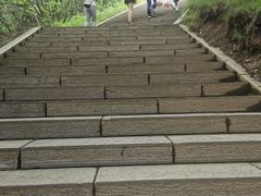 -塔云山