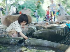 -成都市活水公园
