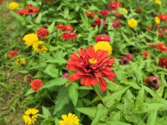 -永定河休闲森林公园