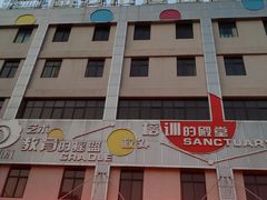 -陕西省小天鹅艺术团