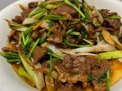 津葱爆羊肉-燕春楼(海河华鼎店)