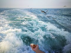 -海驴岛(荣成市)