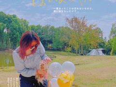 -三圣花乡旅游区