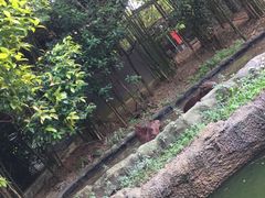-河川生态园