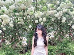 -大龙山(地铁站)