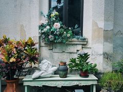 -艺墅家·福建菜·百年侨楼(集美学村大社店)
