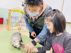 -蓝莓果幼儿园(通州梨园店)