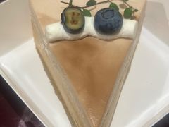 -猫里有甜