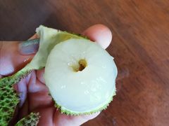 -百果园PAGODA(应元路店)