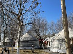 -九十九顶毡房(阜石路店)