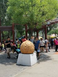 -大望京儿童游乐场