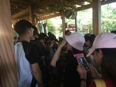 -热带风暴水上乐园(新镇路)