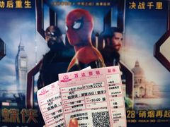 -万达影城(洛阳万达广场IMAX激光店)