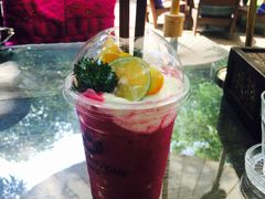 -Fern Forest Cafe