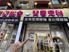 -青奢宠物·青奢猫舍