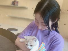 -飞行喵MR PILOT|猫舍·猫咖(静安大融城店)