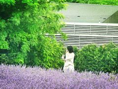 -富田农场