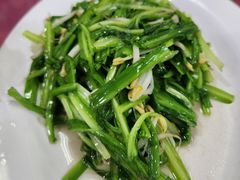 青花菜-新峰肉骨茶