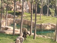 -北京野生动物园